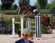 DEL CISTIA DEAUVILLE CampITA2013- S5 0598 : Campionati Italiani 2013, Cattolica, DEAUVILLE B.B., DEL CISTIA MARCO, Horse Riviera Resort, foto di Stefano Secchi ©